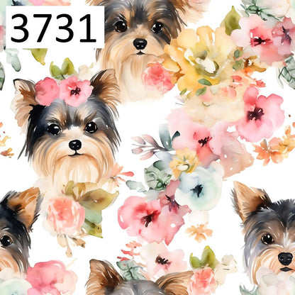 Wzór 3731 psy yorkshire terrier kwiaty