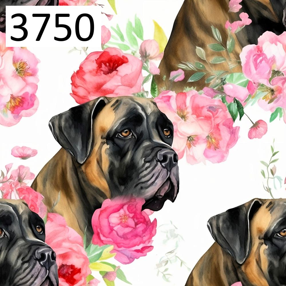 Wzór 3750 psy cane corso kwiaty