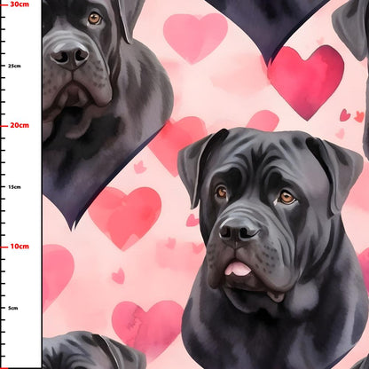 Wzór 3801 psy cane corso serca