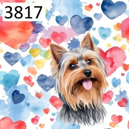 Wzór 3817 psy yorkshire terrier serca