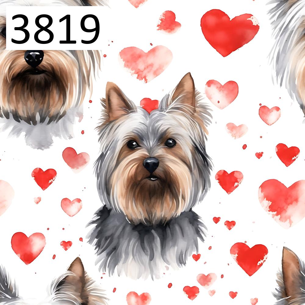 Wzór 3819 psy yorkshire terrier serca