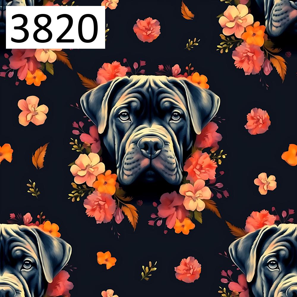 Wzór 3820 psy cane corso